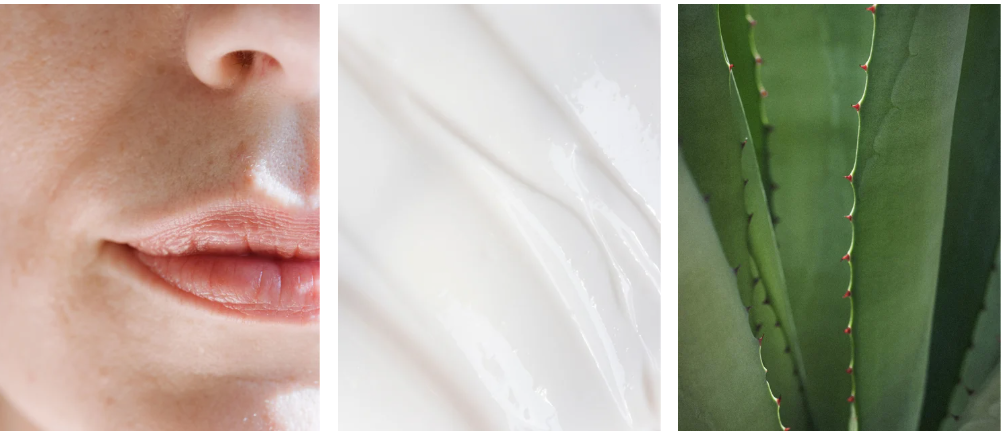 Night Recovery Cream