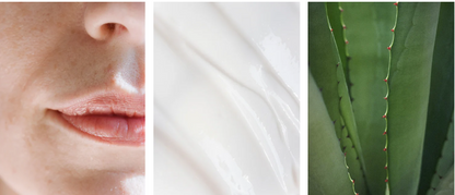 Night Recovery Cream